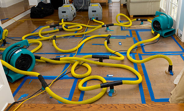Professional Burst Pipe Water Damage technician working in Bradley Beach, NJ